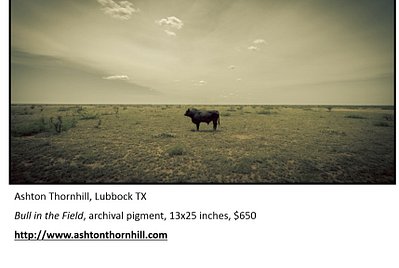 Thornhill--Bull Field