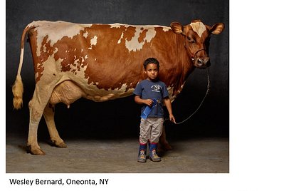 Bernard--Cow