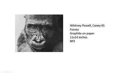 Powell--Fossey.jpg