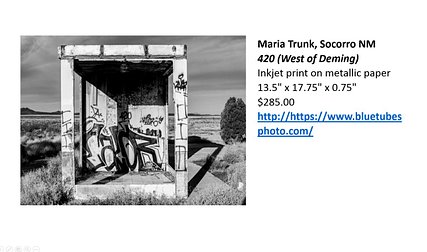Trunk Maria--West of Deming.jpg